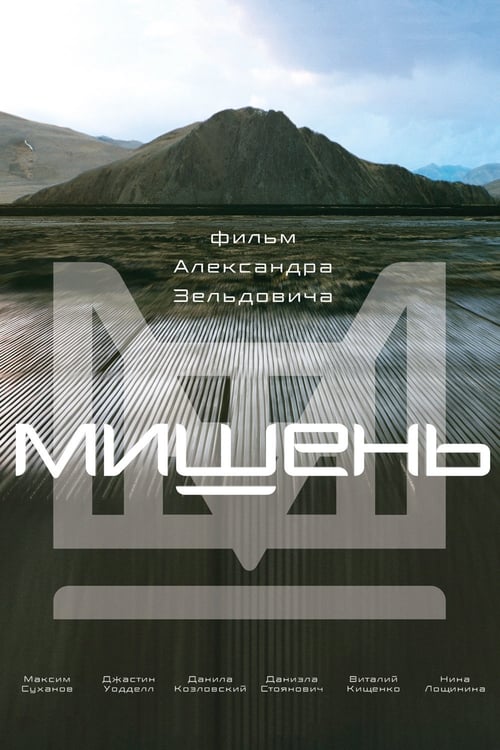 Мишень (2011) poster