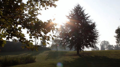 Warmth and Yearning Backdrop Blur
