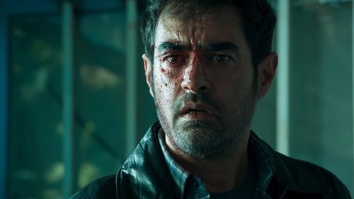 Épisode 8