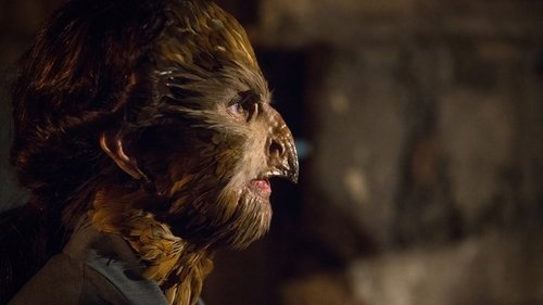 Grimm: Contos de Terror: 5×1