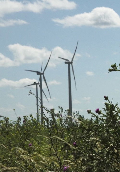 Windpark: Ein Lichtspiel bei Nacht