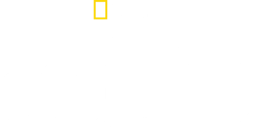 MARS: Inside SpaceX Logo
