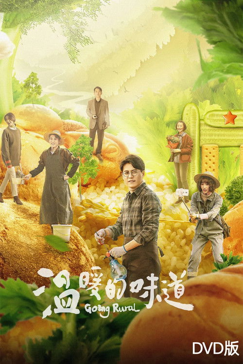 温暖的味道 DVD版