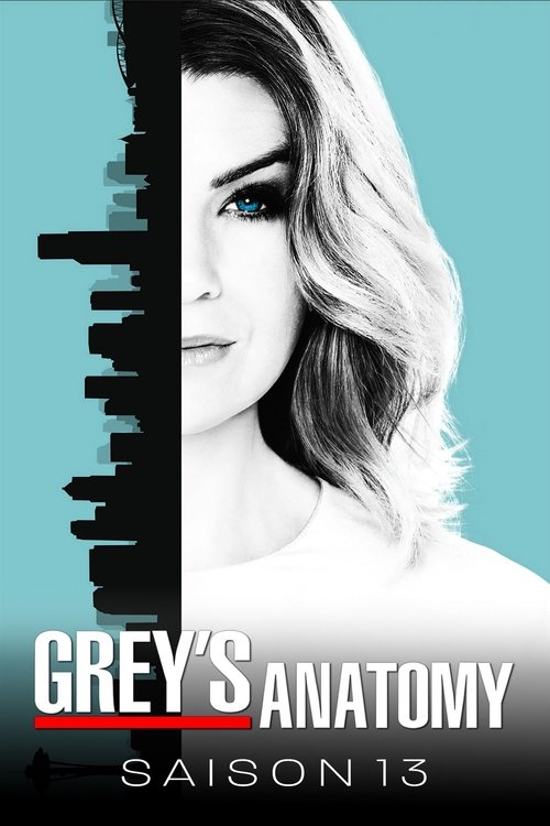 Grey's Anatomy - Saison 13