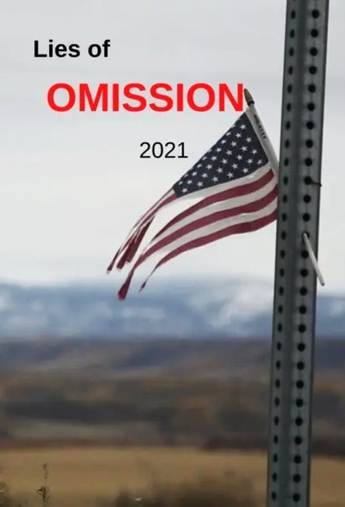 Lies of Omission cover