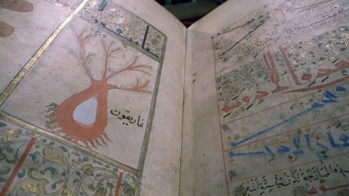 Les trésors oubliés de la médecine arabe