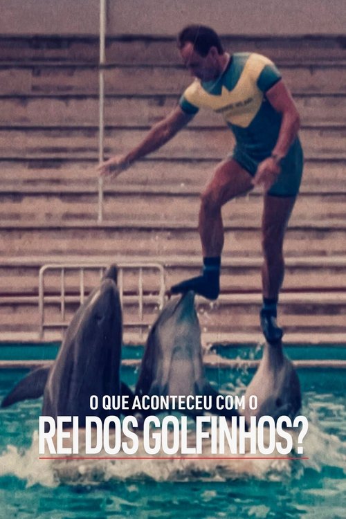 Pôster de O Que Aconteceu com o Rei dos Golfinhos?