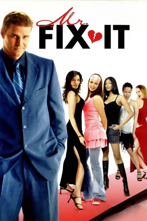 Mr. Fix It (2006) poster