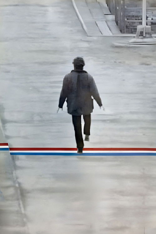 The Suspended Step of the Stork poster