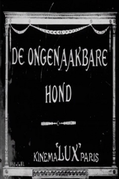 The Elusive Dog poster