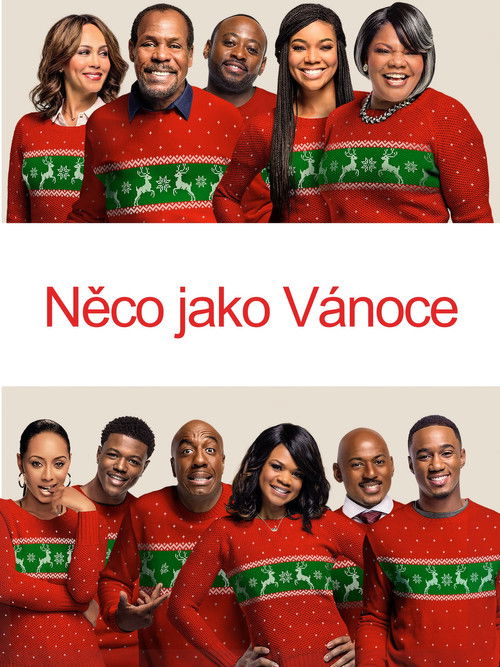 Téměř dokonalé Vánoce