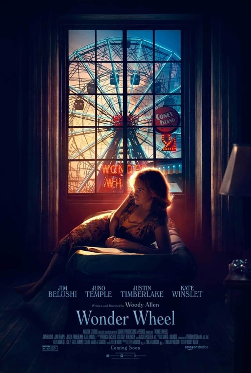 Watch Wonder Wheel Online Tvmuse