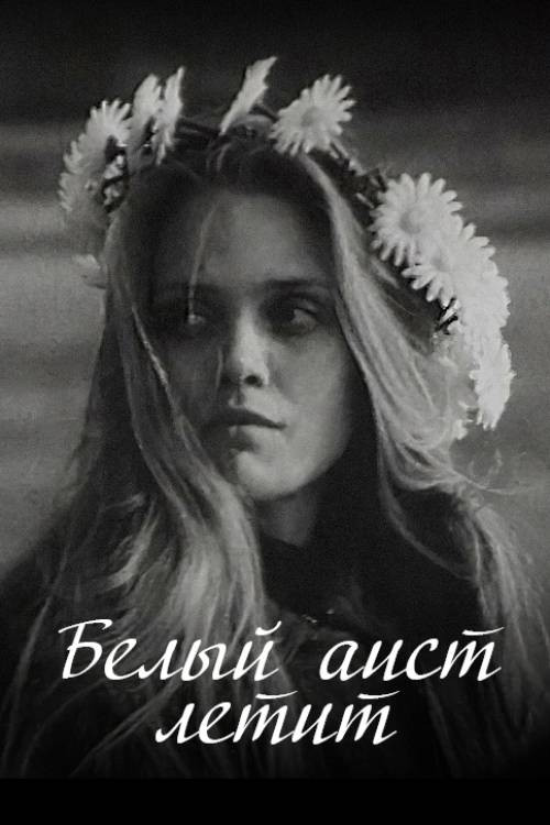 Белы бусел ляціць