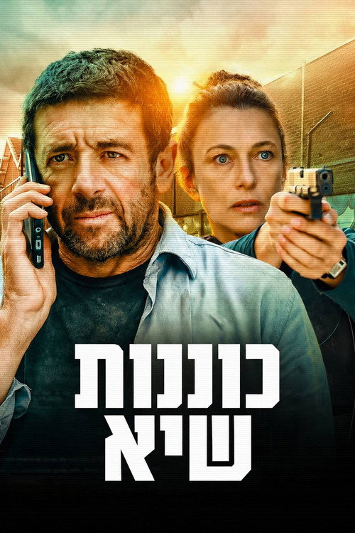 כוננות שיא