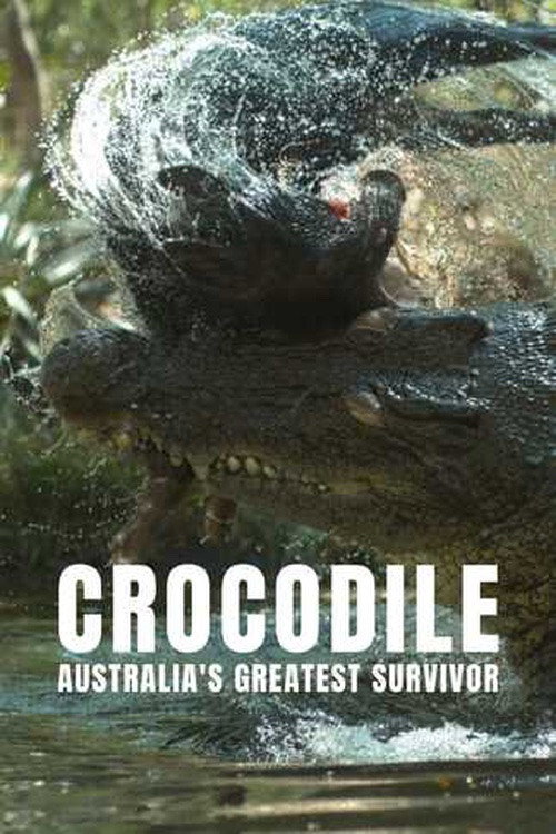 Crocodile Australia's Greatest Survivor