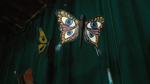 Benny Feldman - Butterfly Pavilion - imagem 7