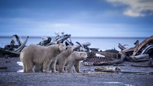 Poster della serie Alaska: Earth's Frozen Kingdom