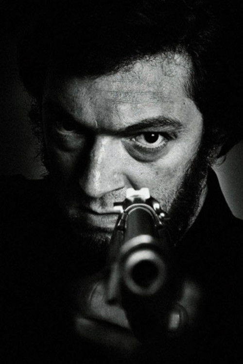 Pòster de The Mesrine Collection