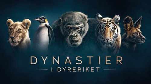 Dynasties