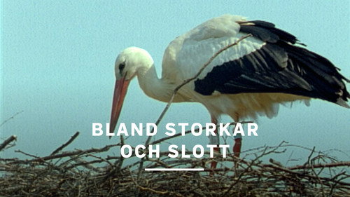 Bland storkar och slott Backdrop Blur