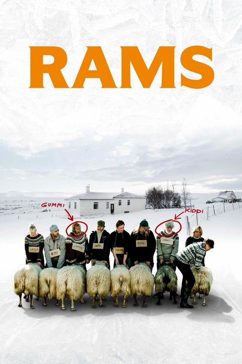 Rams (2015)