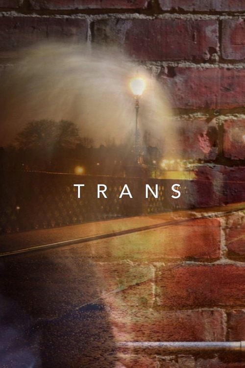 Trans film afişi