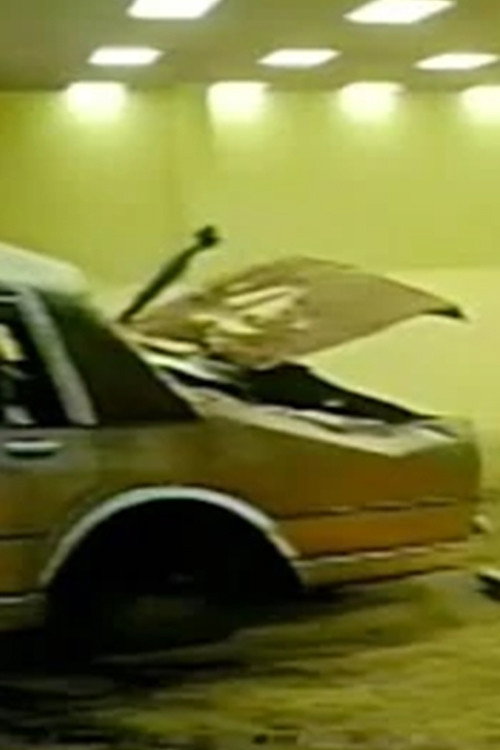 Backrooms: Found Footage #2