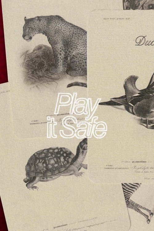 Play It Safe poster