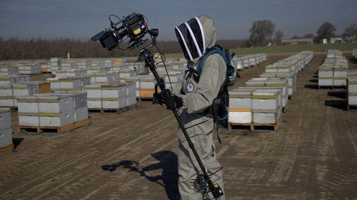 Segredos das Abelhas: 1×1