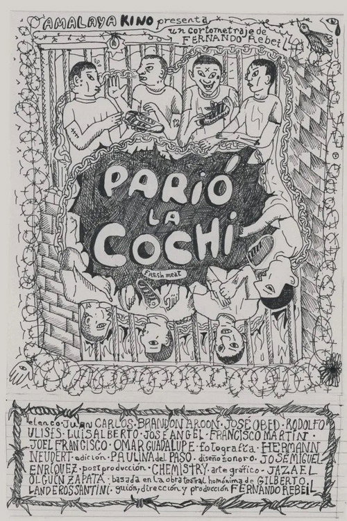 Parió La Cochi poster