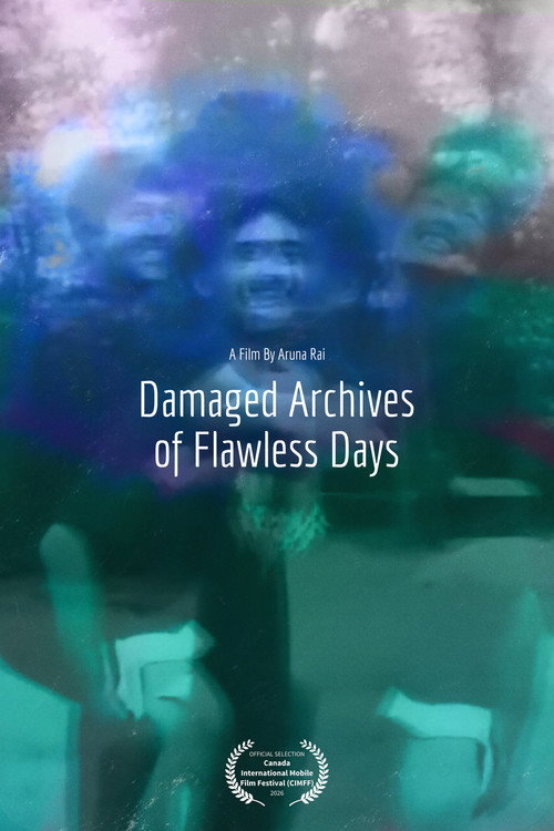 Damaged Archives of Flawless Days still 5