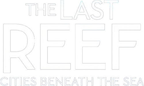 The Last Reef: Cities Beneath the Sea