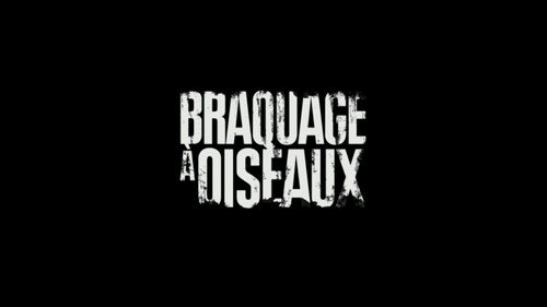 Image Braquage à oiseaux