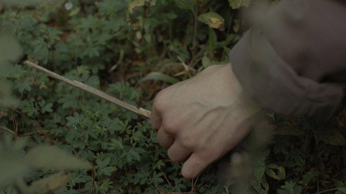 Para atrapar el viento