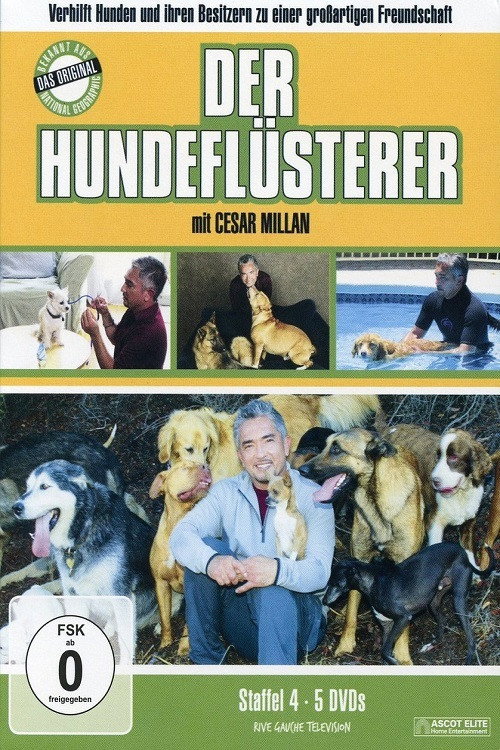 Staffel 4