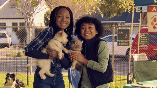 Image de l'épisode 2