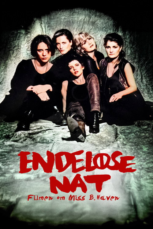Endeløse nat posteri