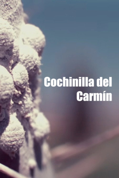 Cochinilla del Carmín