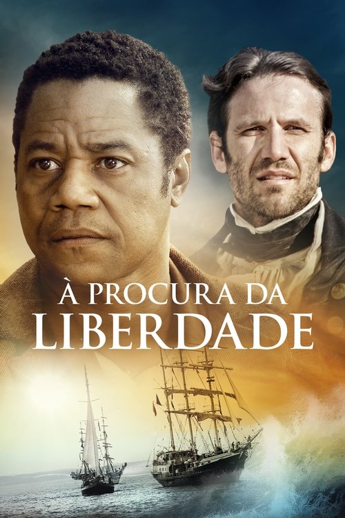Pôster de À Procura da Liberdade