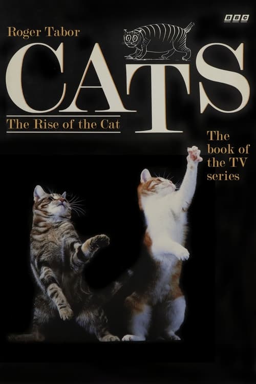 Cats (1991)