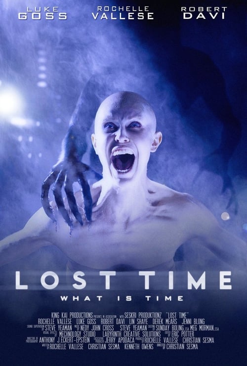 Lost Time 2014