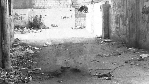Erased,___Ascent of the Invisible still