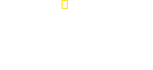 O Mundo dos Animais