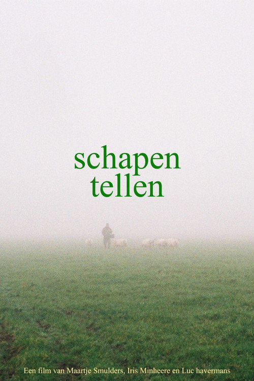 Schapen tellen