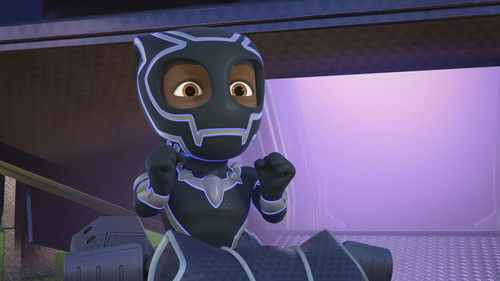 A Day With Black Panther