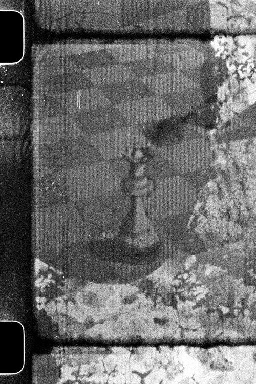 Adventures in Perception