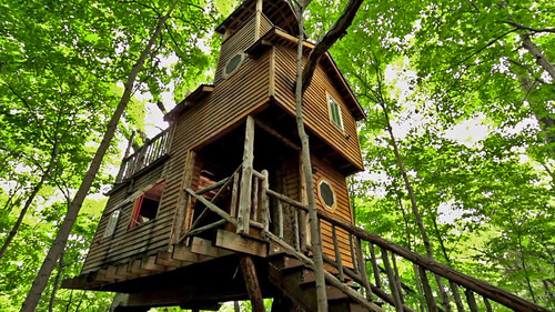 Ultimate Treehouses V