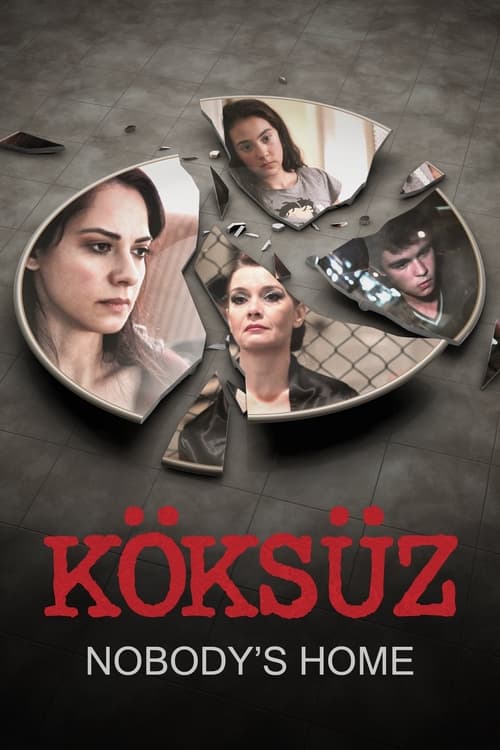 Poster Köksüz 2013