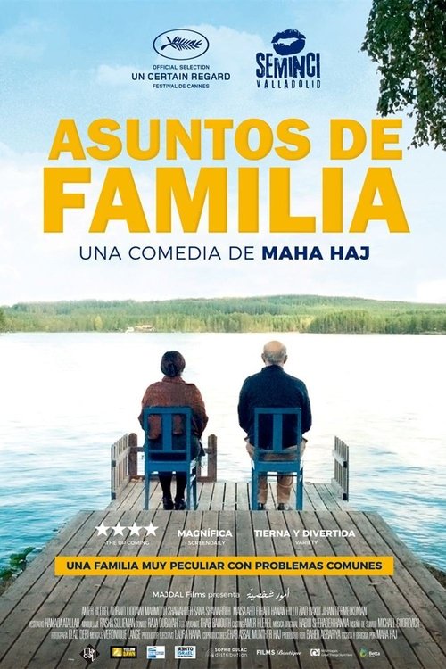 Asuntos de familia 2017