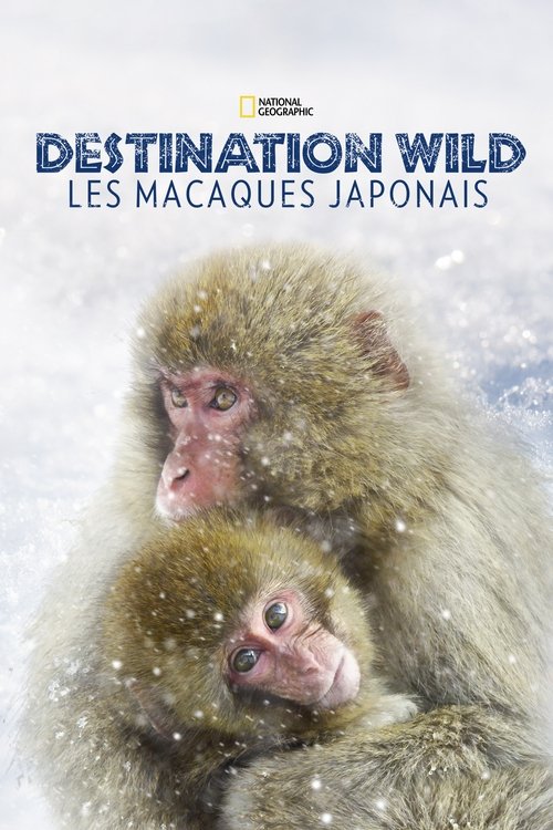 Destination Wild: Les macaques japonais Poster